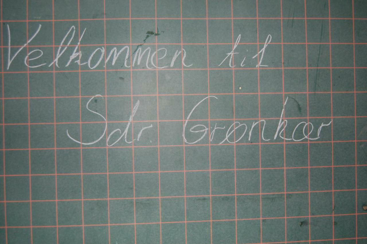 Sdr Gronkaer Feriehus - Holiday House Bækmarksbro 외부 사진